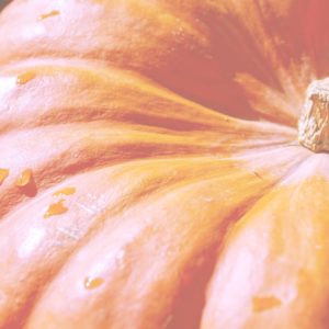 オレンジ色のかぼちゃ2