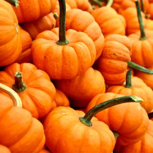 積まれたかぼちゃ1