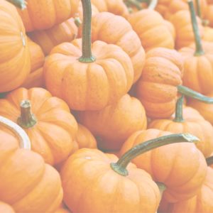 積まれたかぼちゃ2