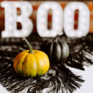 渋い色のかぼちゃ4