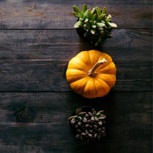 カボチャと植物5