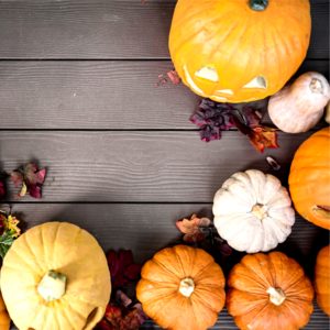 ドライフラワーとかぼちゃ4