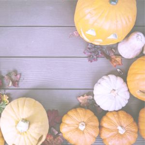 ドライフラワーとかぼちゃ2