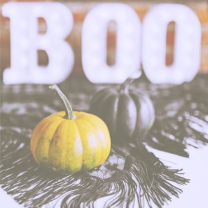 渋い色のかぼちゃ3