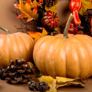 ミルクティー色のかぼちゃ2