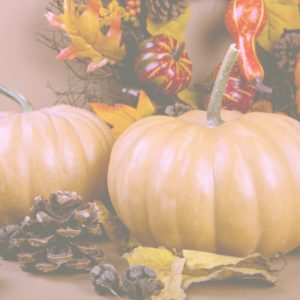 ミルクティー色のかぼちゃ1