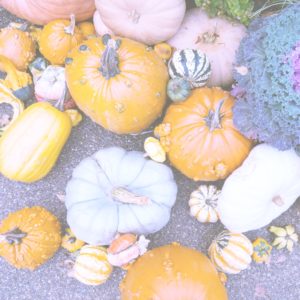 個性的なかぼちゃ1