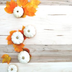 落葉と白いカボチャ4