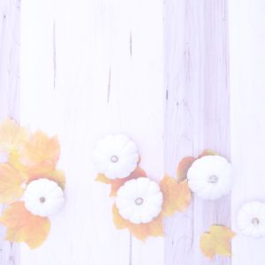 落葉と白いカボチャ1