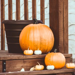 カラフルなかぼちゃ2