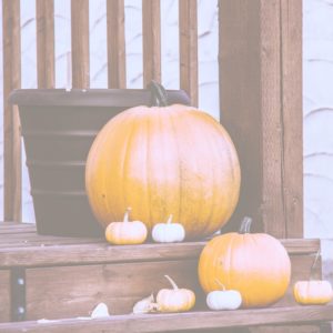 カラフルなかぼちゃ1