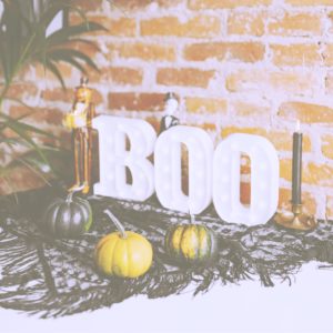 渋い色のかぼちゃ1