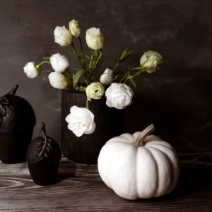 白いバラと白いかぼちゃ2