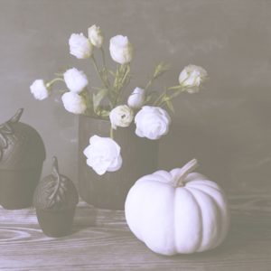 白いバラと白いかぼちゃ1