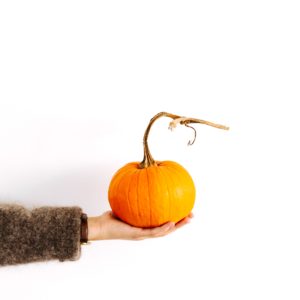 カボチャがひとつ2