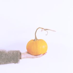 カボチャがひとつ1