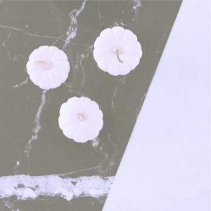 黒い床と白いかぼちゃ1