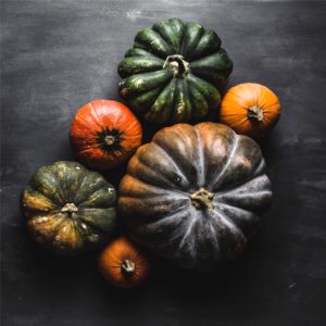 渋い色のかぼちゃ6
