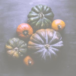 渋い色のかぼちゃ5