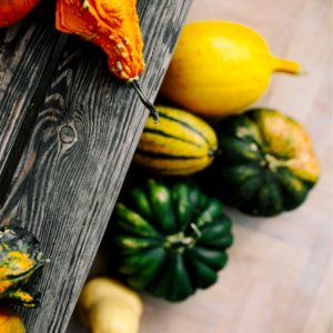 ベンチの下のかぼちゃ2