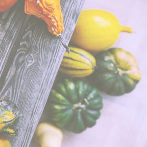 ベンチの下のかぼちゃ1