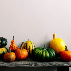 ベンチの上のかぼちゃ2