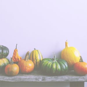 ベンチの上のかぼちゃ1