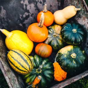 箱に入ったかぼちゃ2