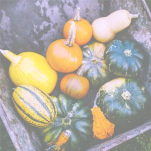 箱に入ったかぼちゃ1