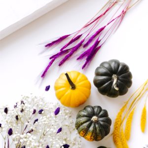 黄色と緑のかぼちゃ4