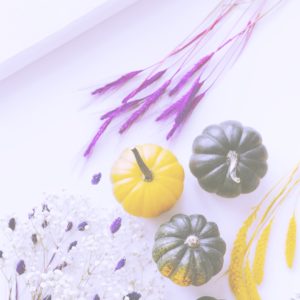 黄色と緑のかぼちゃ3