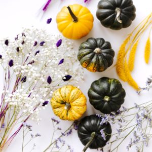 黄色と緑のかぼちゃ2