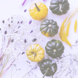 黄色と緑のかぼちゃ1