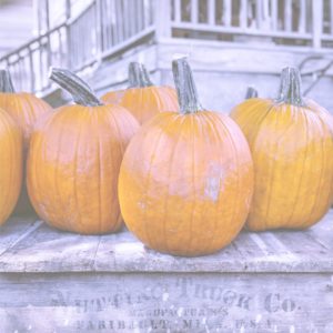 板の上に並んでるかぼちゃ1