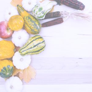 リンゴとかぼちゃ6