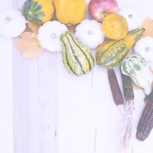 リンゴとかぼちゃ8