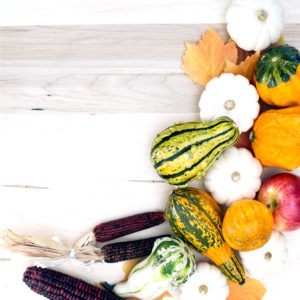 リンゴとかぼちゃ9