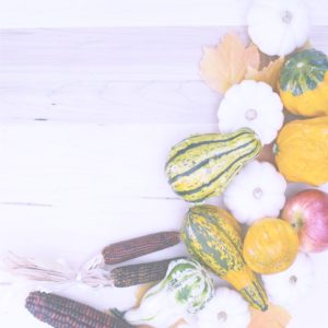 リンゴとかぼちゃ10