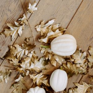 枯れ葉と白いカボチャ1