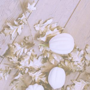 枯れ葉と白いカボチャ2