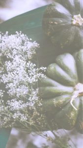 かすみ草とかぼちゃ3