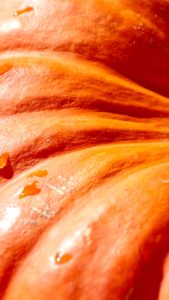 オレンジ色のかぼちゃ2