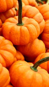 積まれたかぼちゃ