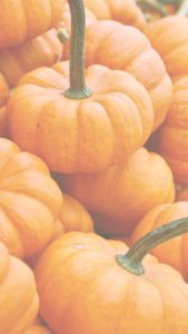 積まれたかぼちゃ1