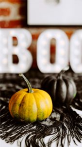 渋い色のかぼちゃ4