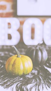 渋い色のかぼちゃ3