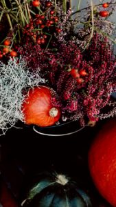 秋の花とかぼちゃ2