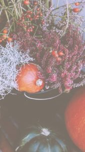 秋の花とかぼちゃ1