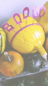 黄色いカボチャ1