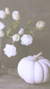 白いバラと白いカボチャ2